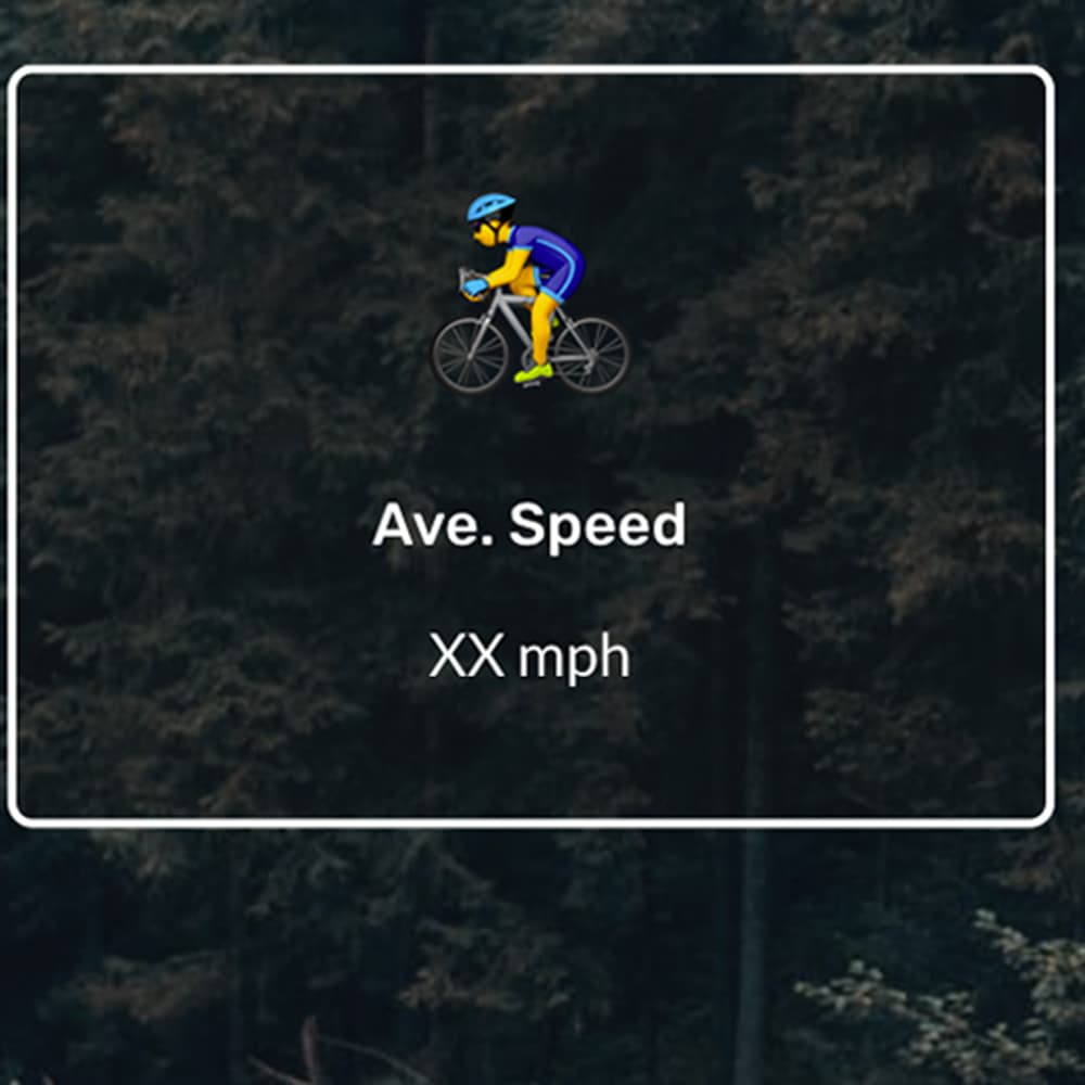 Closeup screenshot of personal Average Speed.